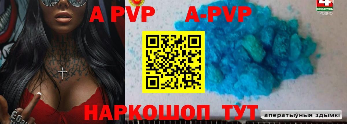 Альфа ПВП СК Елизово