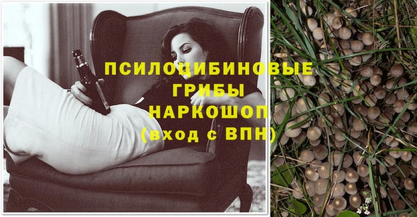 mdpv Гусев