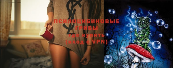 мяу мяу мука Дмитриев