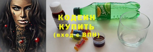 мяу мяу мука Дмитриев