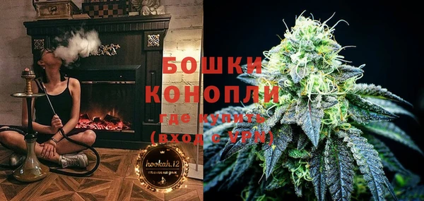 стафф Дмитров