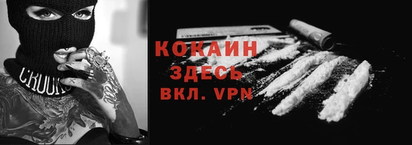 прущие грибы Бабаево