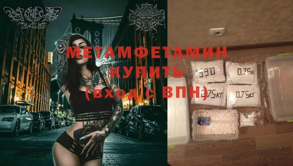 мяу мяу мука Дмитриев