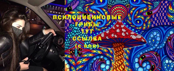 прущие грибы Бабаево