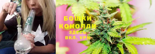 мяу мяу мука Дмитриев