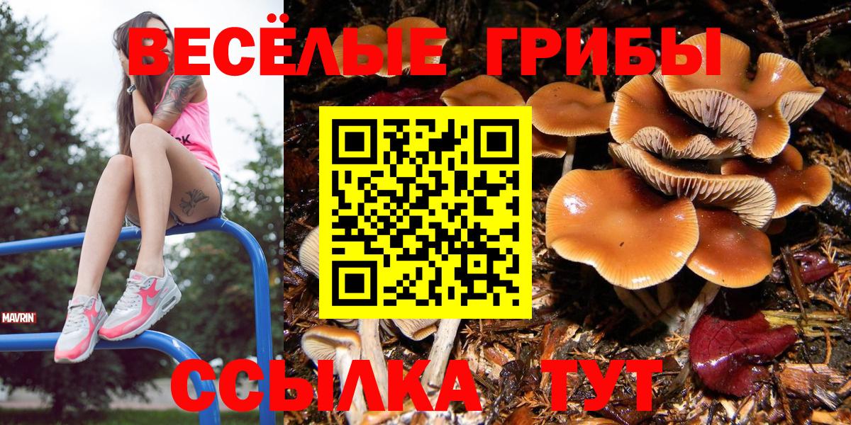 Псилоцибиновые грибы GOLDEN TEACHER Елизово