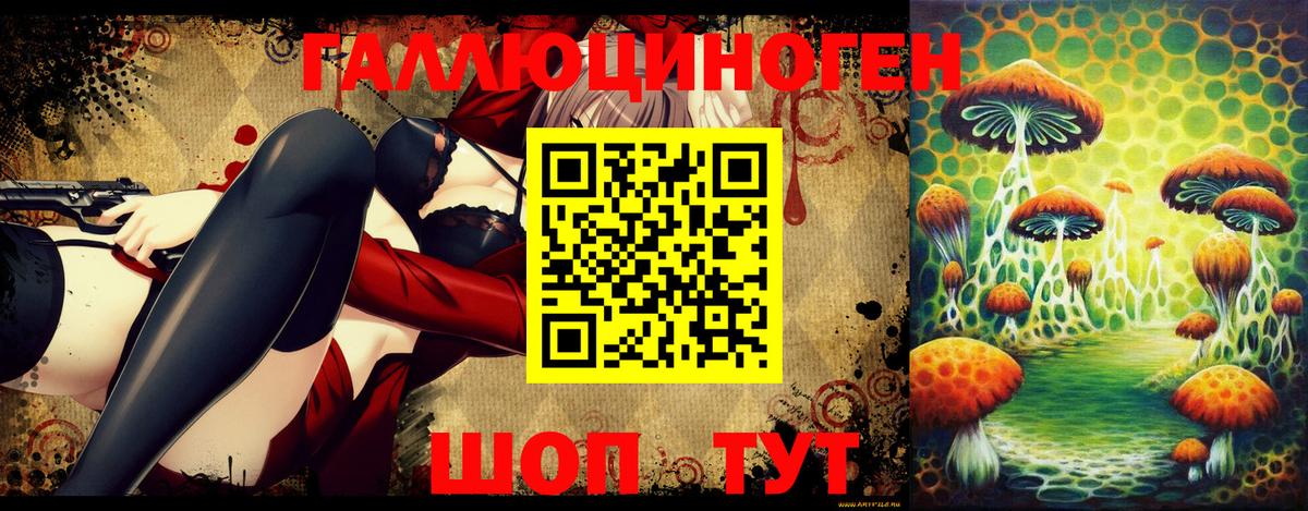 Галлюциногенные грибы Psilocybine cubensis  Елизово 