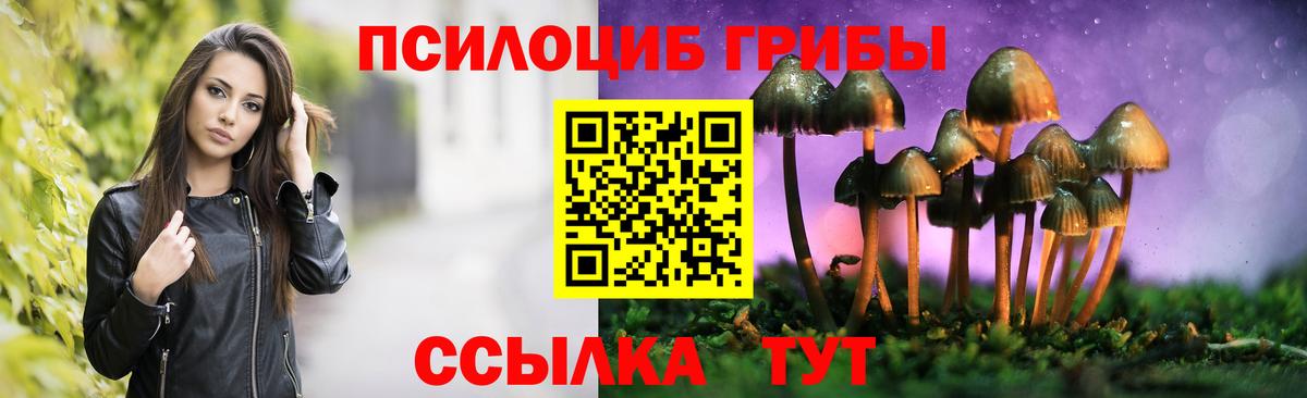 Псилоцибиновые грибы GOLDEN TEACHER  Псилоцибиновые грибы GOLDEN TEACHER  Елизово  Вход с VPN 