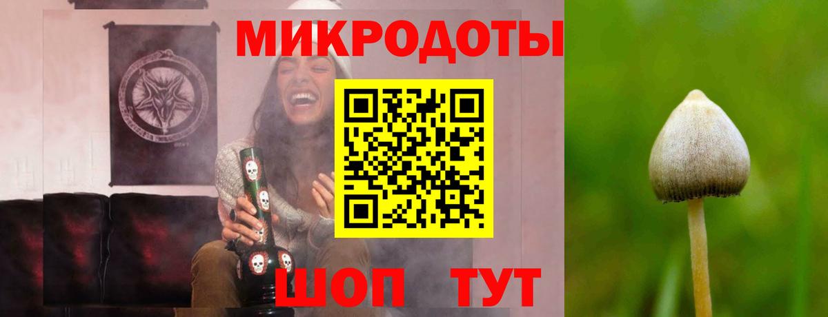 Галлюциногенные грибы Cubensis Елизово