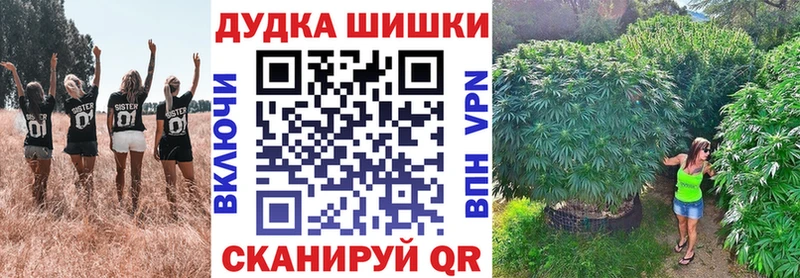 продажа наркотиков  Елизово  ОМГ ОМГ сайт  МАРИХУАНА White Widow 